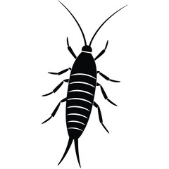 silverfish veector