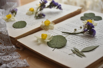 Rustic charm: book & pressed flowers 05
