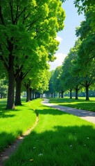 Serene park landscape design featuring lush green lawns, meandering pathways, and mature trees providing ample shade Ideal for relaxation and recreation , shade, wildflower, grass