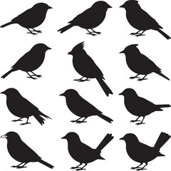 Backyard Bird Silhouette Vector Bundle – 10 Black Icons – Sparrow, Robin, Cardinal, Blue Jay, Finch, Wren, Dove, and More – Side & Perch Views