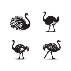 set of four ostrich silhouettes