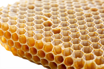 Close-up of Golden Honeycomb Nature's Sweet Architecture