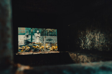 Statue spotted beside a road. Human Creature vibes like urbanic and artistic. Silver statue in the...