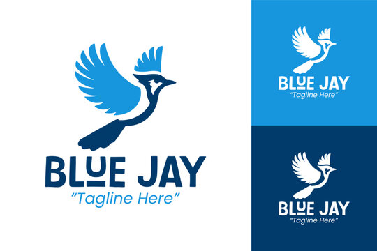 Creative and Professional Blue Jay Bird Logo Design for Branding and Marketing