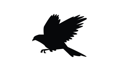 Amazonian motmot bird Silhouette Design  And Vector Illustration. 