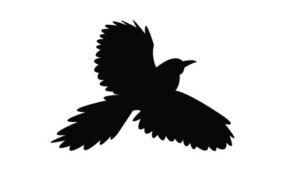 Amazonian motmot bird Silhouette Design  And Vector Illustration. 
