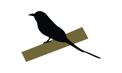 Amazonian motmot bird Silhouette Design  And Vector Illustration. 