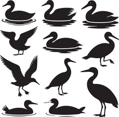 Aquatic & Wetland Bird Silhouette Vector Bundle – 10 Black Icons – Duck, Goose, Swan, Heron, Pelican, Seagull, Crane & More