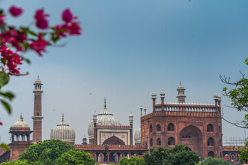 unique view of Jama Masjid with flowers in foreground and blue clear sky
