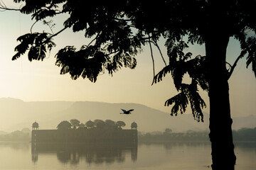 Golden hour at Jal Mahal Jaipur. A bird with a fish in his mouth is over Man Sagar Lake.