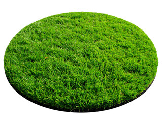 A realistic, circular patch of lush green grass with clean edges and natural texture