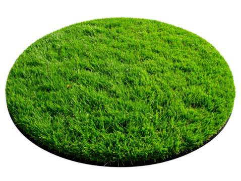 A realistic, circular patch of lush green grass with clean edges and natural texture