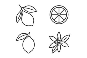 Stylized illustrations of lemons, lemon slices, and flowers on a clean background showcasing fresh fruit design concepts in a minimalistic style