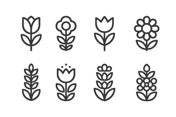 Floral illustrations featuring various plant designs in a minimalist style on a white background