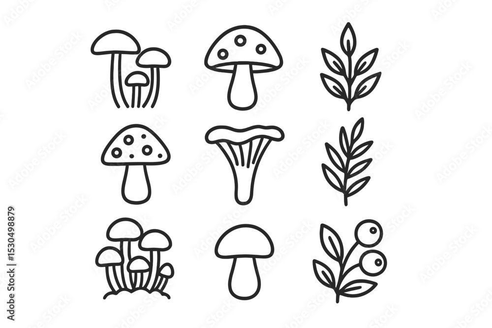 Poster mushrooms and foliage in a simple line drawing collection showcasing different types of fungi and pl