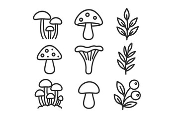 Mushrooms and foliage in a simple line drawing collection showcasing different types of fungi and plants