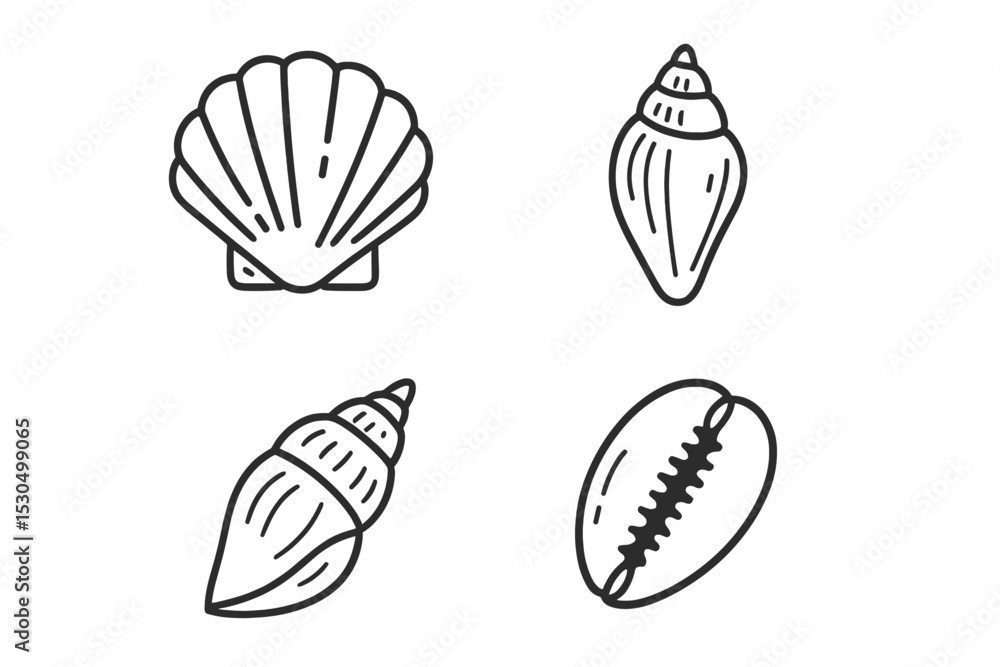 Poster various seashells displayed in simple line art against a white background for nature-inspired design