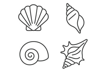 Collection of various shell designs on a white background showcasing natural beauty and ocean themes