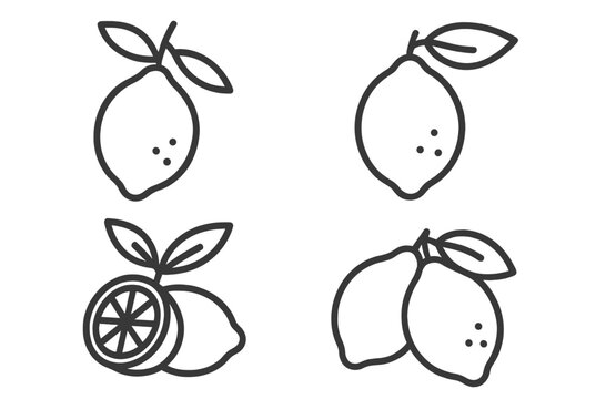 Illustrations of lemons showcasing various styles and angles in a minimalistic design perfect for culinary themes