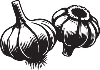 Garlic silhouette vector art illustration. Garlic vector icon.