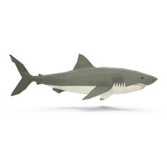 Obraz premium Low poly great white shark isolated on transparent background