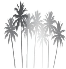 Black palm trees set isolated on white background. Palm silhouettes. Design of palm trees for posters, banners and promotional items. Vector illustration.