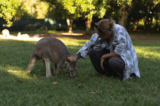 Woman petting a kangaroo in a peaceful park