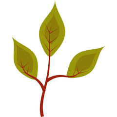 Autumn Leaves Vector