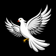 Obraz premium white dove isolated on black