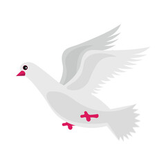Dove Illustration