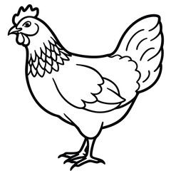 Chicken silhouette line art simple elegant vector design