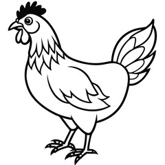 Rooster silhouette male chicken line art vector illustration