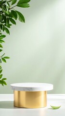 Stylish minimalist display stand indoor product photography modern home eye-level aesthetic decor concept