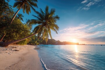 Fototapeta premium Tropical beach at sunset