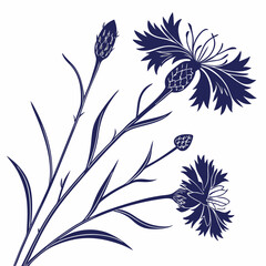 vector set of cornflowers