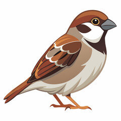 bird on a white background