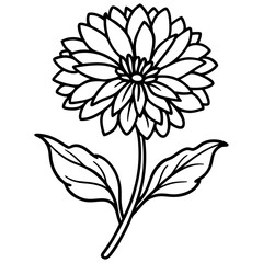 Calendula Flower Illustration on White Background Detailed Vector Design of a Vibrant Orange Calendula Blossom for Graphic Projects