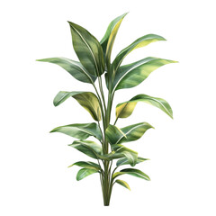 Fototapeta premium Tropical plant leaves vibrant green foliage abstract lines background design