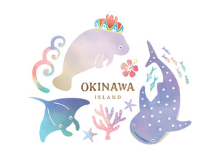沖縄の生き物のイラスト