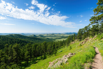Scenic overlook with winding road, lush greenery, and blue sky creates serene atmosphere in nature