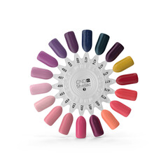 Color Swatch Palette for Nail Polish Samples isolated on transparent background