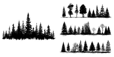 The silhouettes of fir trees are set against a background of coniferous spruce patterns, with modern illustrations of black evergreen woods and beautiful hand-drawn forest panoramas featuring