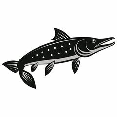 Northern Pike Silhouette Illustration A striking black and white vector graphic of a pike fish on a clean white background