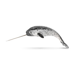 Swimming Narwhal Whale with Long Tusk isolated on transparent background © Realistic PNG