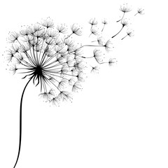 Dandelion time is captured in a modern illustration where the wind carries seeds and inflates an isolated dandelion set against a plain white background