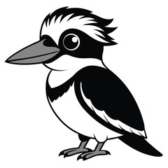 Adorable kookaburra stands proudly with its distinctive black and white plumage pattern