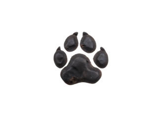 Dark paw print isolated on a white background png ai generated