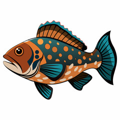 Detailed Vector Illustration of a Grouper Fish on a Clean White Background Ideal for Marine Life and Seafood Designs