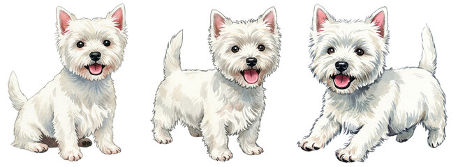 Adorable West Highland White Terrier dogs in watercolor illustration with happy expressions