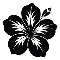 An exotic monochrome hibiscus blossom displays beauty with its elegant five petals and delicate textures